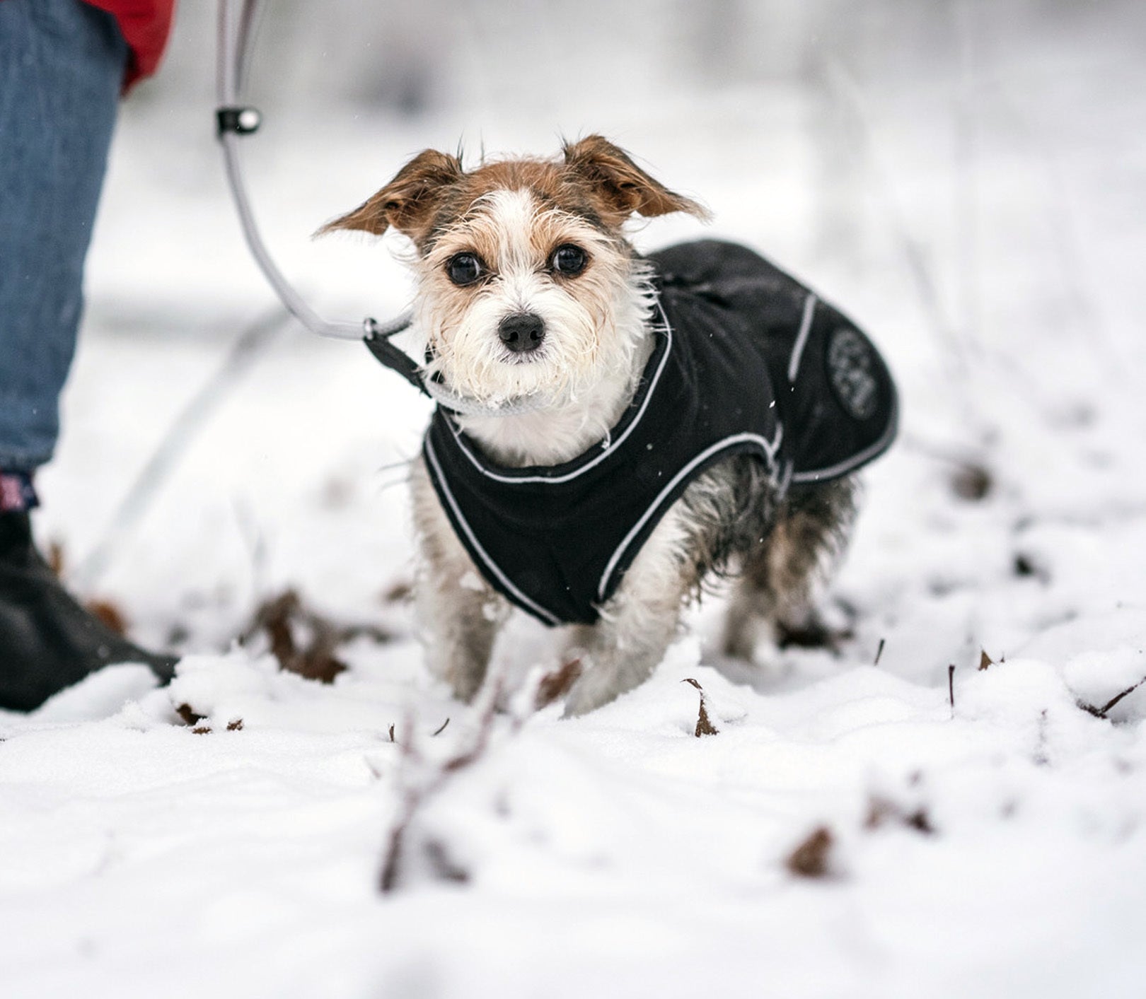 Fall Winter Male Coats