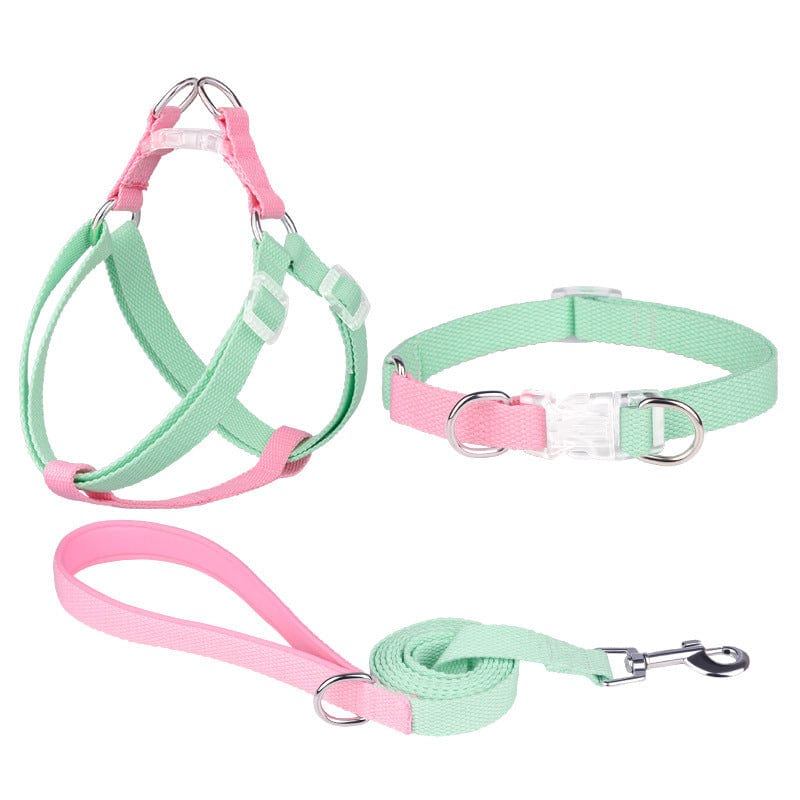 Dogs and Cats Boutique 11 3PCs Set Green Pink / M Polyester Ribbon Dog Collar Pet Hand Holding Rope (To Get Done)