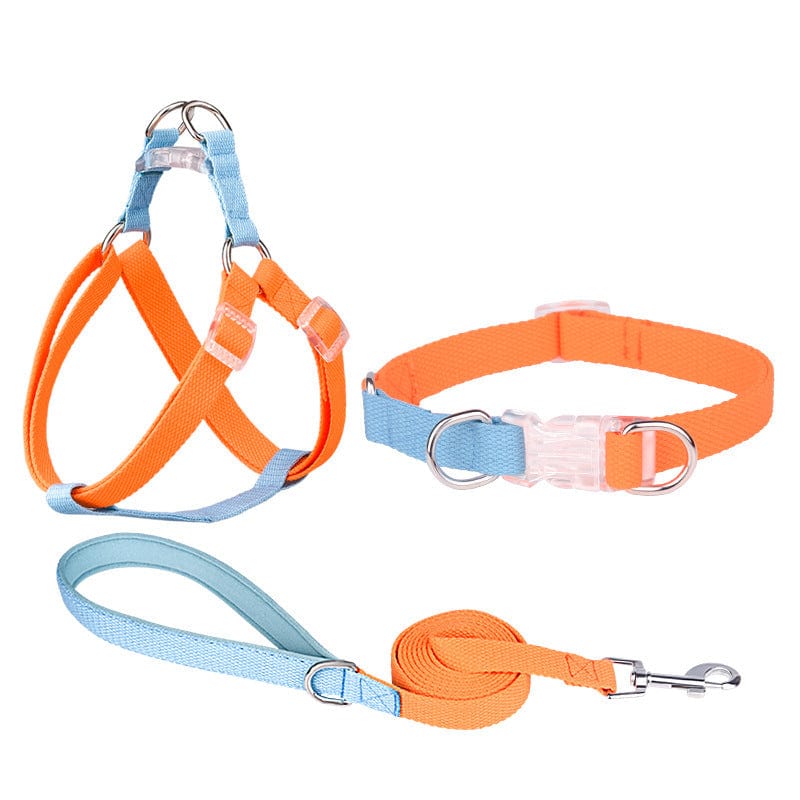 Dogs and Cats Boutique 11 3PCs Set Orange Blue / M Polyester Ribbon Dog Collar Pet Hand Holding Rope (To Get Done)