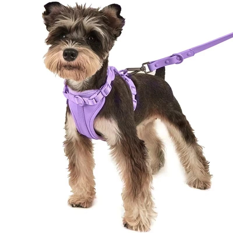 Dogs and Cats Boutique 11 BiteGuard Harness, Collar & Leash Set