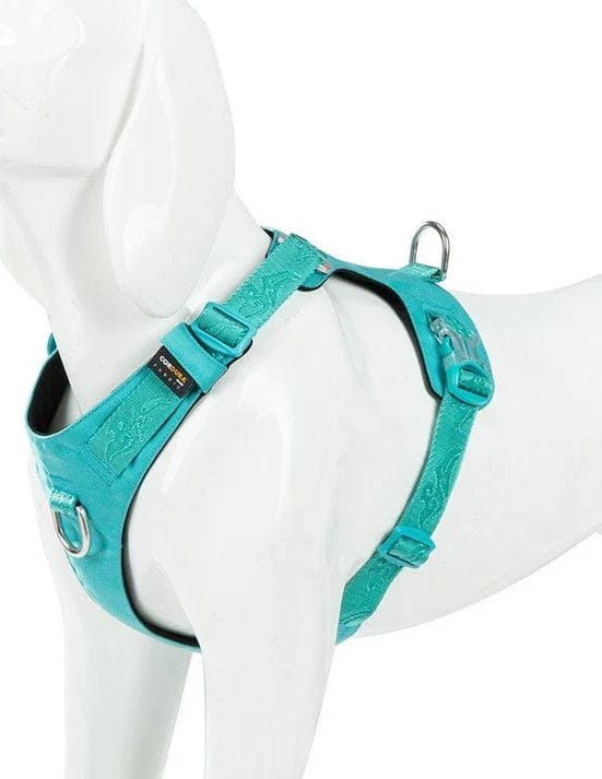 Dogs and Cats Boutique 11 Explosion-proof dog harness for walking the dog (To Get Done)