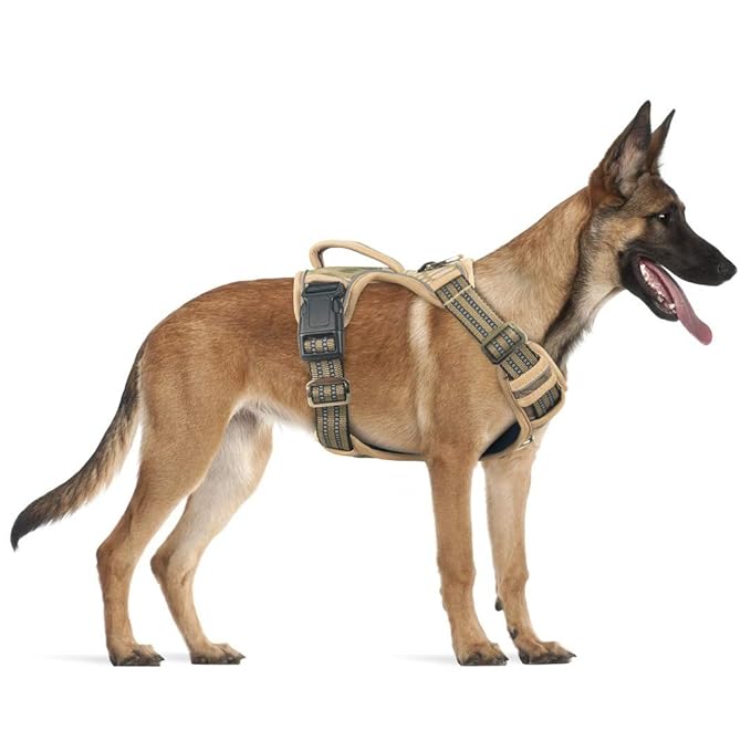 Dogs and Cats Boutique 11 K9Command Tactical Harness