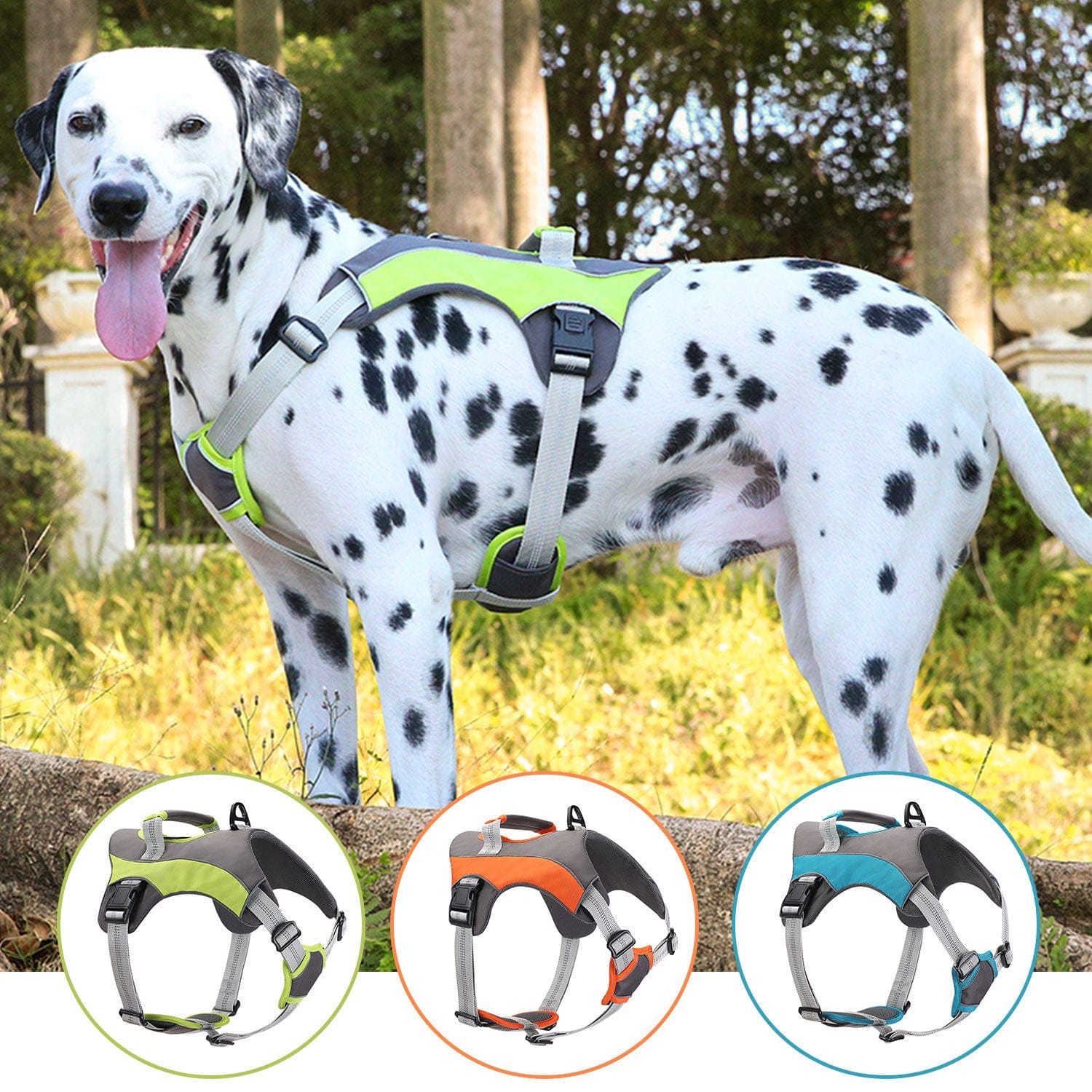 Dogs and Cats Boutique 11 New Outdoor Large Dog Anti Breaking Loose Sports Breathable Big Dog Chest Back Hand Holding Rope (To Get Done)