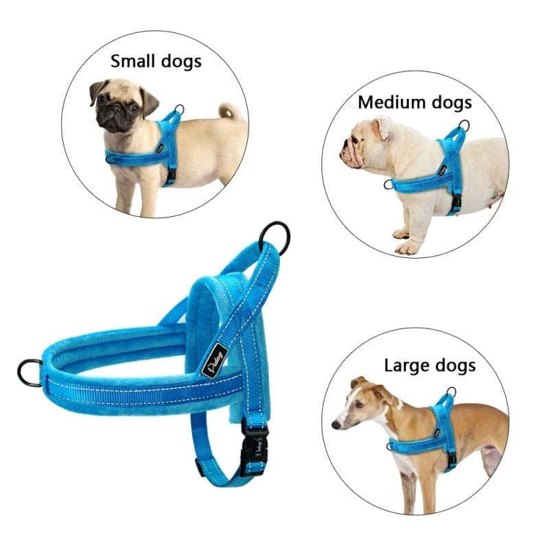 Dogs and Cats Boutique 11 No Pull Dog Harness Leash Large Dog Pet Vest Padded Strap (To Get Done)