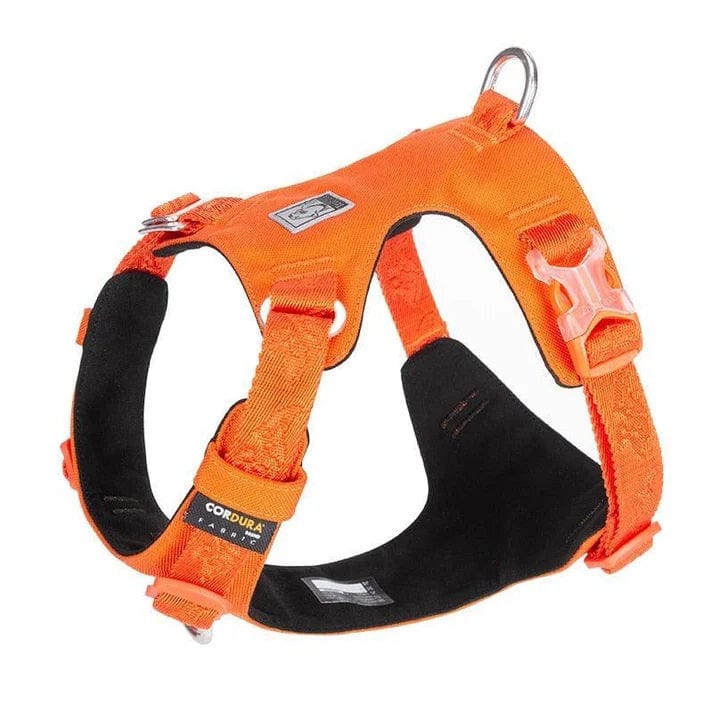 Dogs and Cats Boutique 11 Orange / XXS Explosion-proof dog harness for walking the dog (To Get Done)