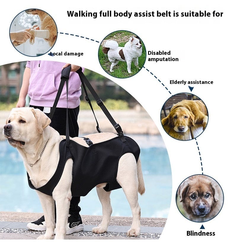 Dogs and Cats Boutique 11 Oxford Cloth Dog Injury Travel Auxiliary Strap (To Get Done)