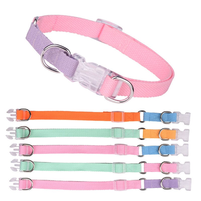 Dogs and Cats Boutique 11 Polyester Ribbon Dog Collar Pet Hand Holding Rope (To Get Done)