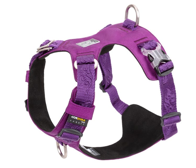 Dogs and Cats Boutique 11 Purple / XXS Explosion-proof dog harness for walking the dog (To Get Done)