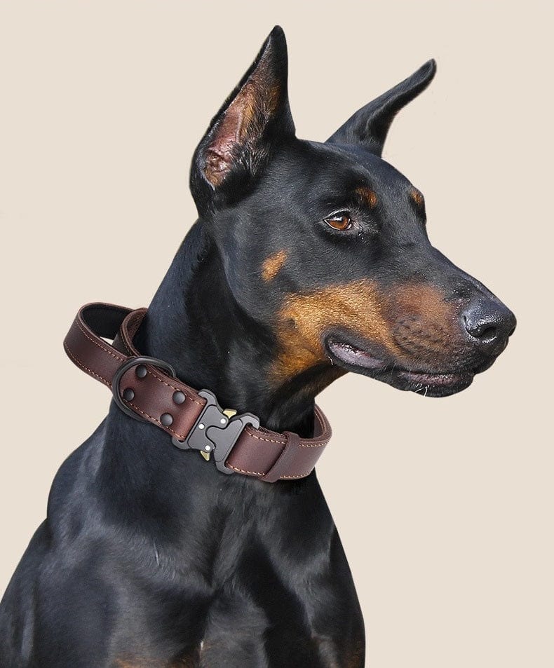 Dogs and Cats Boutique 12 Leather Explosion-proof Large Dog Bandana Leather Pulling Rope (To Get Done)