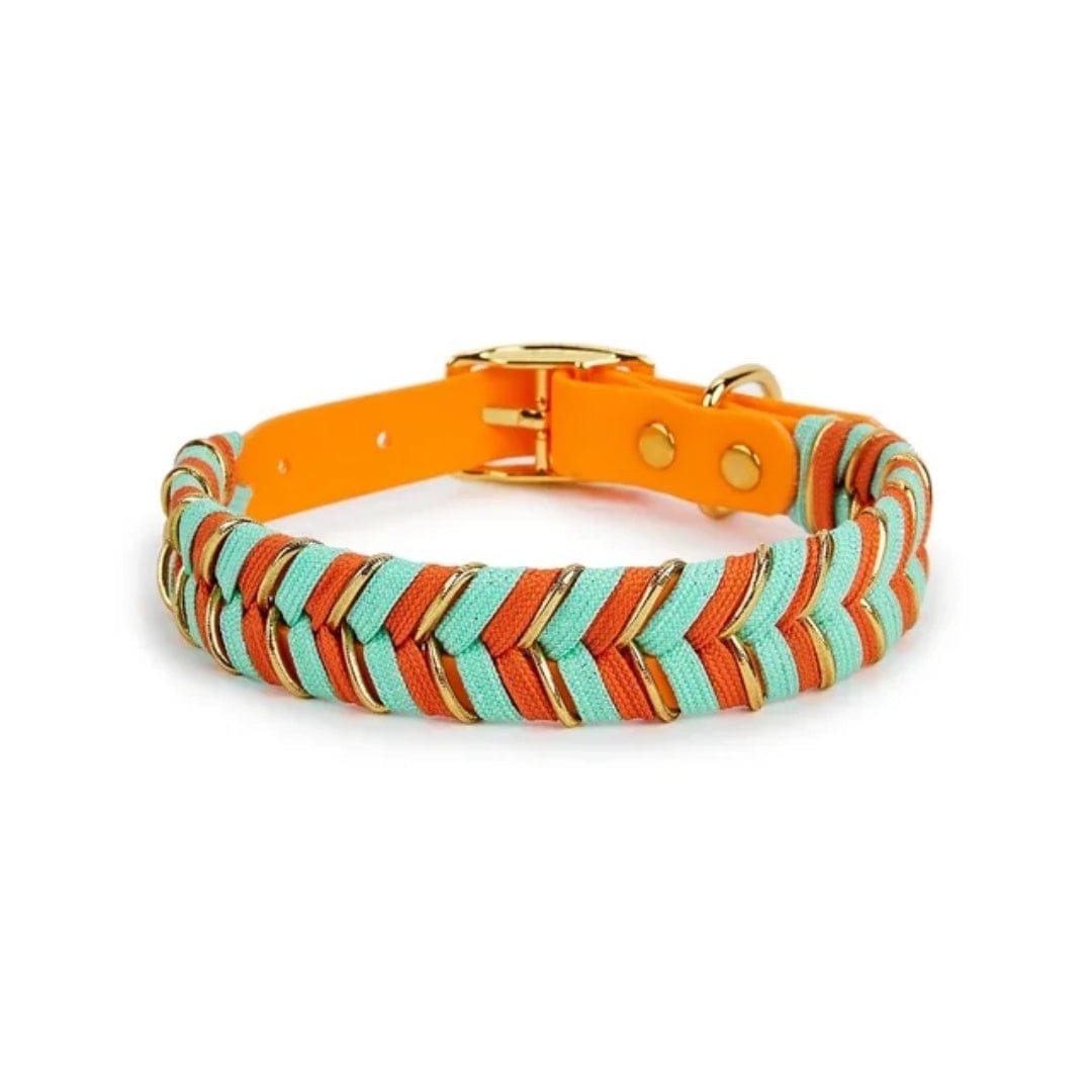 Dogs and Cats Boutique 12 Orange / S Pet Collar Metal Buckle Dog Collar Traction (To Get Done)