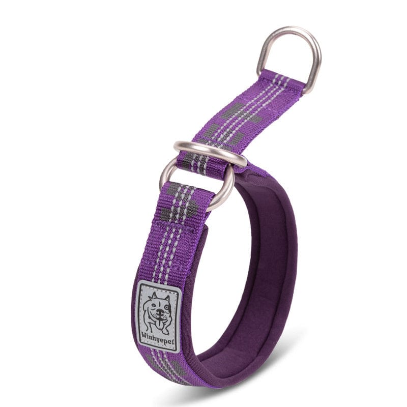 Dogs and Cats Boutique 12 Purple / XXS Dog Collar Pet Supplies Collar Collar Small (To Get Done)