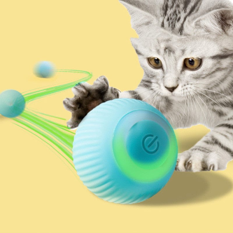 Dogs and Cats Boutique 15 USB Rechargeable Gravity Electric Rolling Ball Electric Cat Toy (To Get Done)