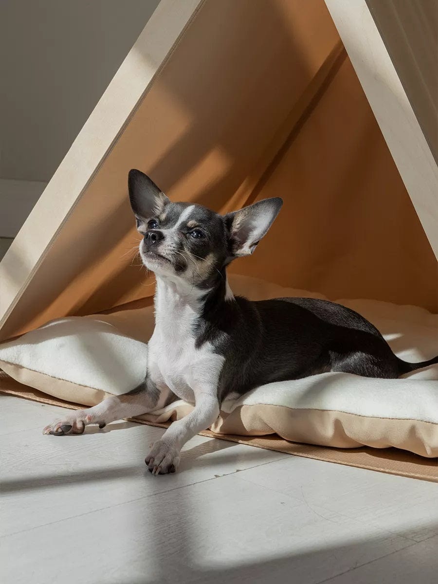 Dogs and Cats Boutique 16 4-Season Washable Pet Tent Bed