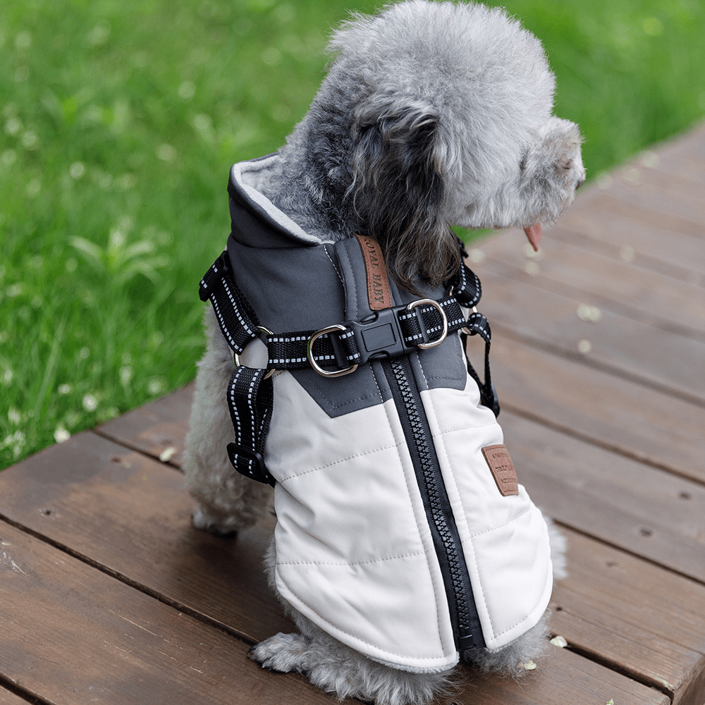 Dogs and Cats Boutique 5 Beige / L Dog Jacket with Harness