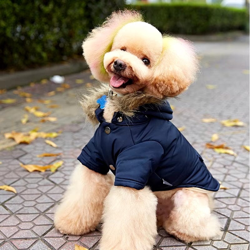 Dogs and Cats Boutique 5 Big Bad Woof Hooded Winter Dog Coat