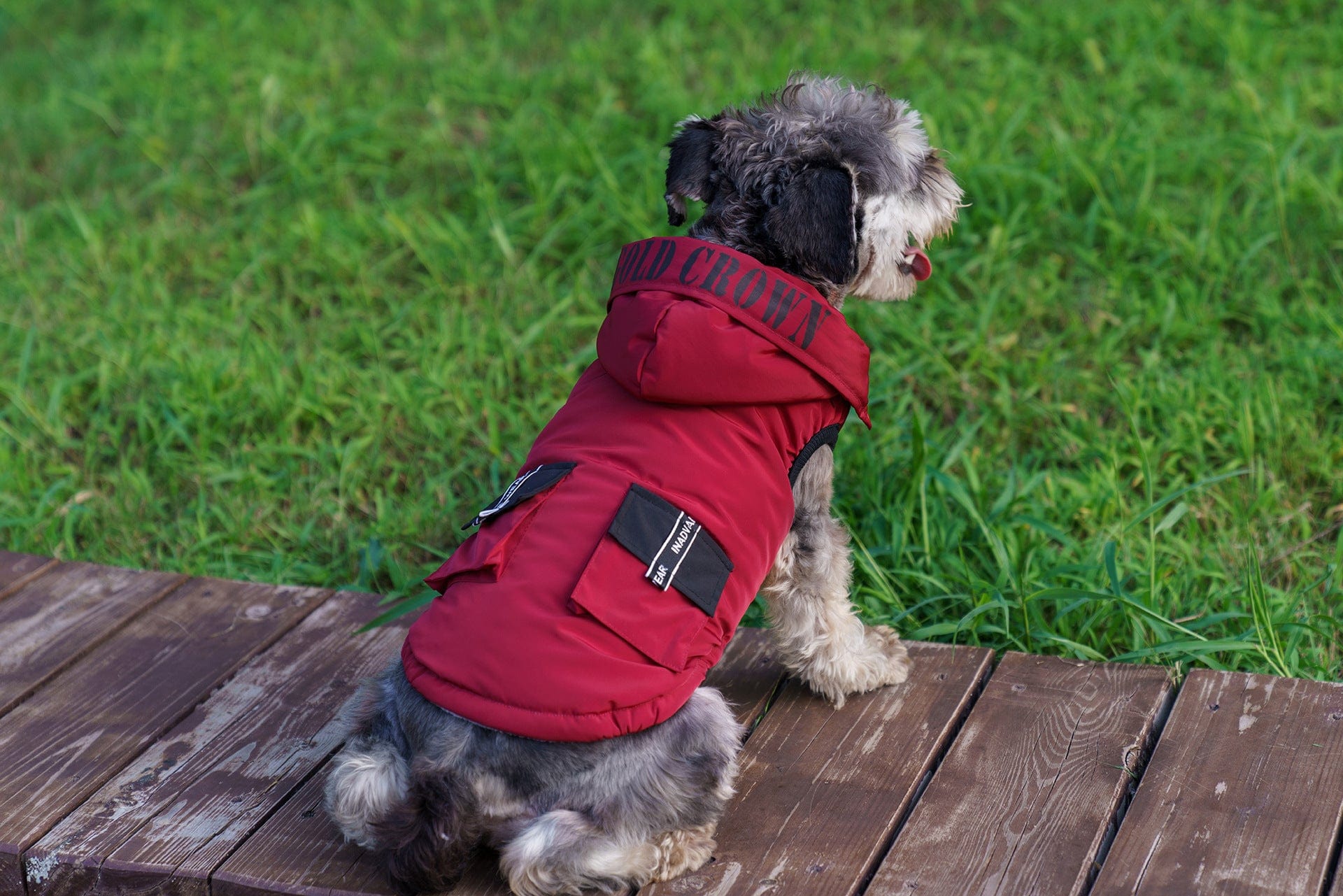 Dogs and Cats Boutique 5 Brick Red / L Waterproof Winter Dog Coat