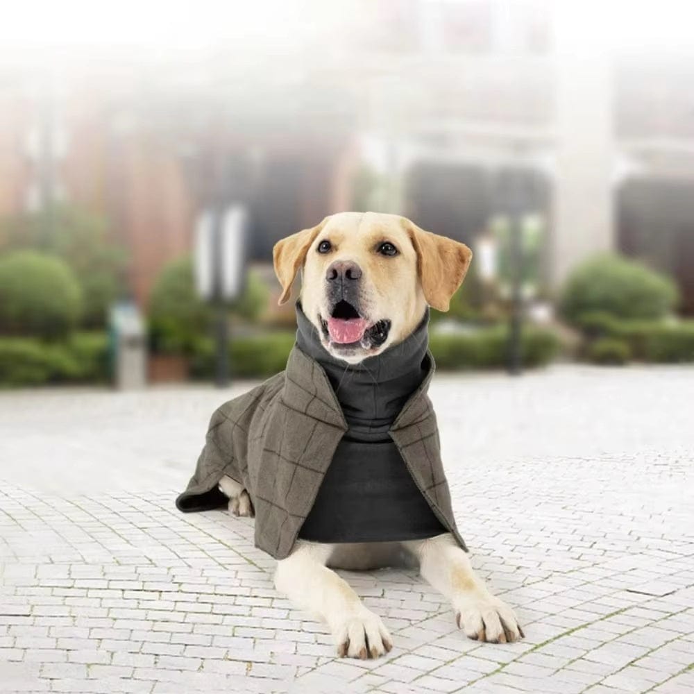 Dogs and Cats Boutique 5 Dog Cotton Clothing British Style Dog Suit Vest Cold-proof Warm Dog Clothes Dog Cloak (To Get Done)