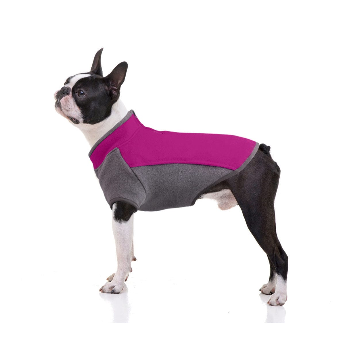 Dogs and Cats Boutique 5 Fuchsia / L Dog Clothes Autumn And Winter Thickened Warmth Stretch (To Get Done)