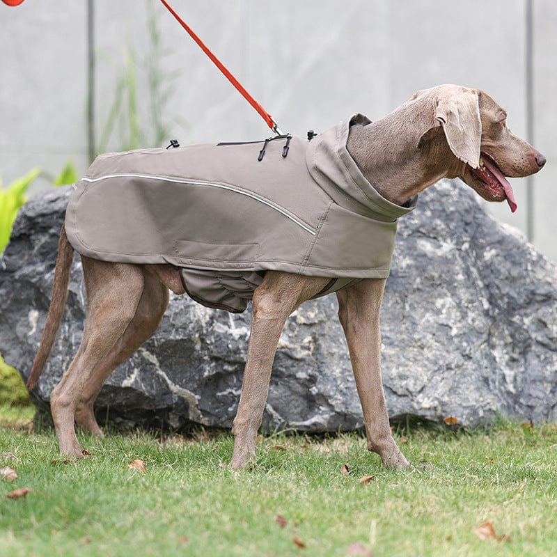 Dogs and Cats Boutique 5 Outdoor Soft Shell Jacket Dog Clothes (To Get Done)