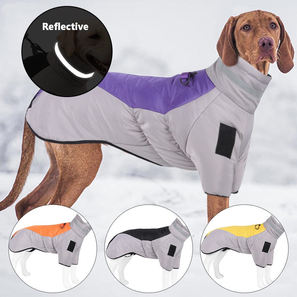 Dogs and Cats Boutique 5 Reflective Dog Winter Jacket