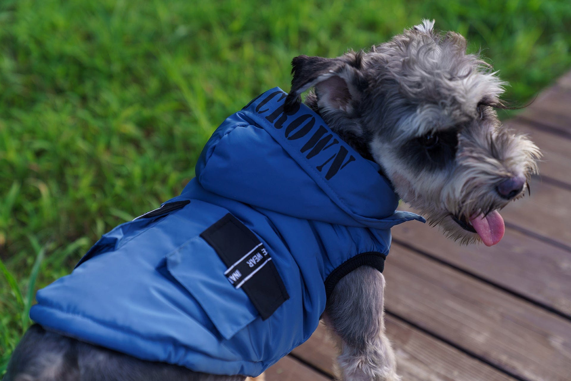 Dogs and Cats Boutique 5 Waterproof Winter Dog Coat