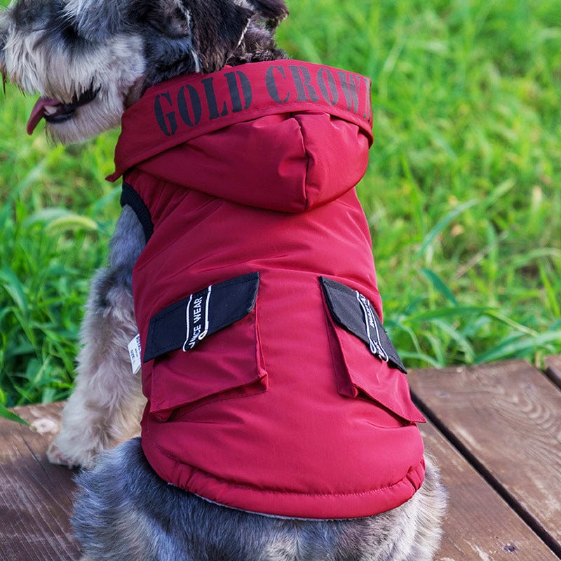 Dogs and Cats Boutique 5 Waterproof Winter Dog Coat