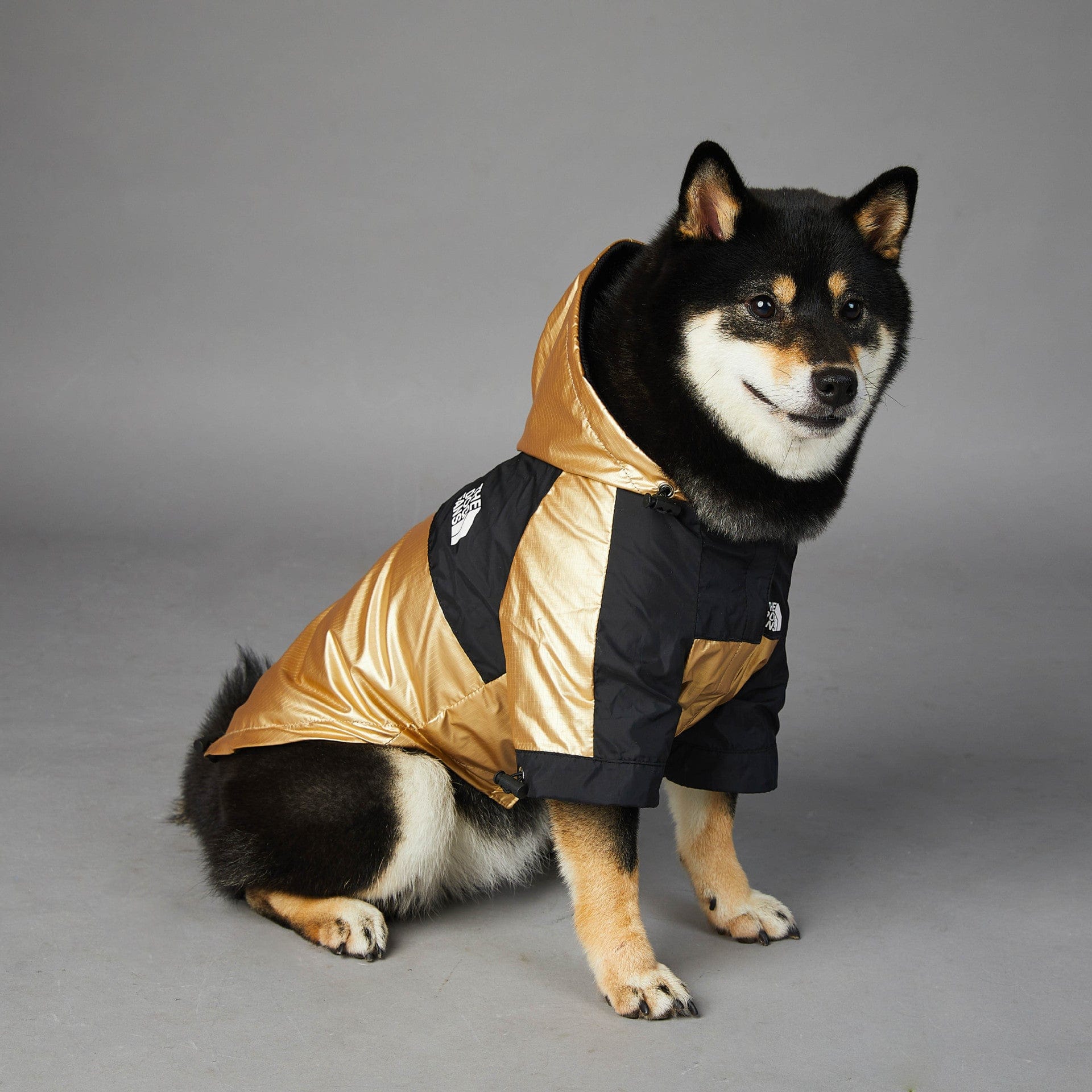 Dogs and Cats Boutique 5 Windproof And Rainproof Dog Large Dog Raincoat Shell Jacket (To Get Done)