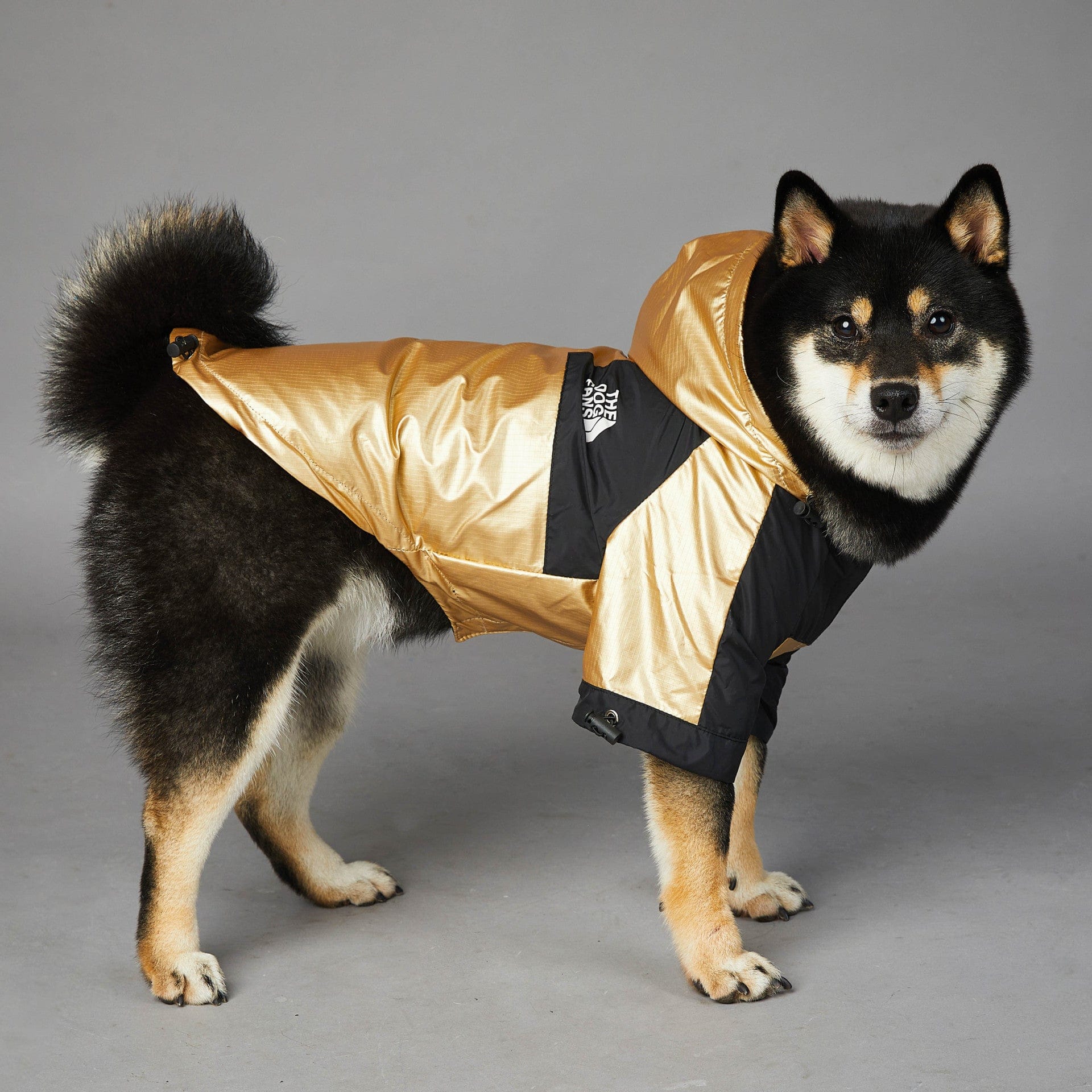 Dogs and Cats Boutique 5 Windproof And Rainproof Dog Large Dog Raincoat Shell Jacket (To Get Done)