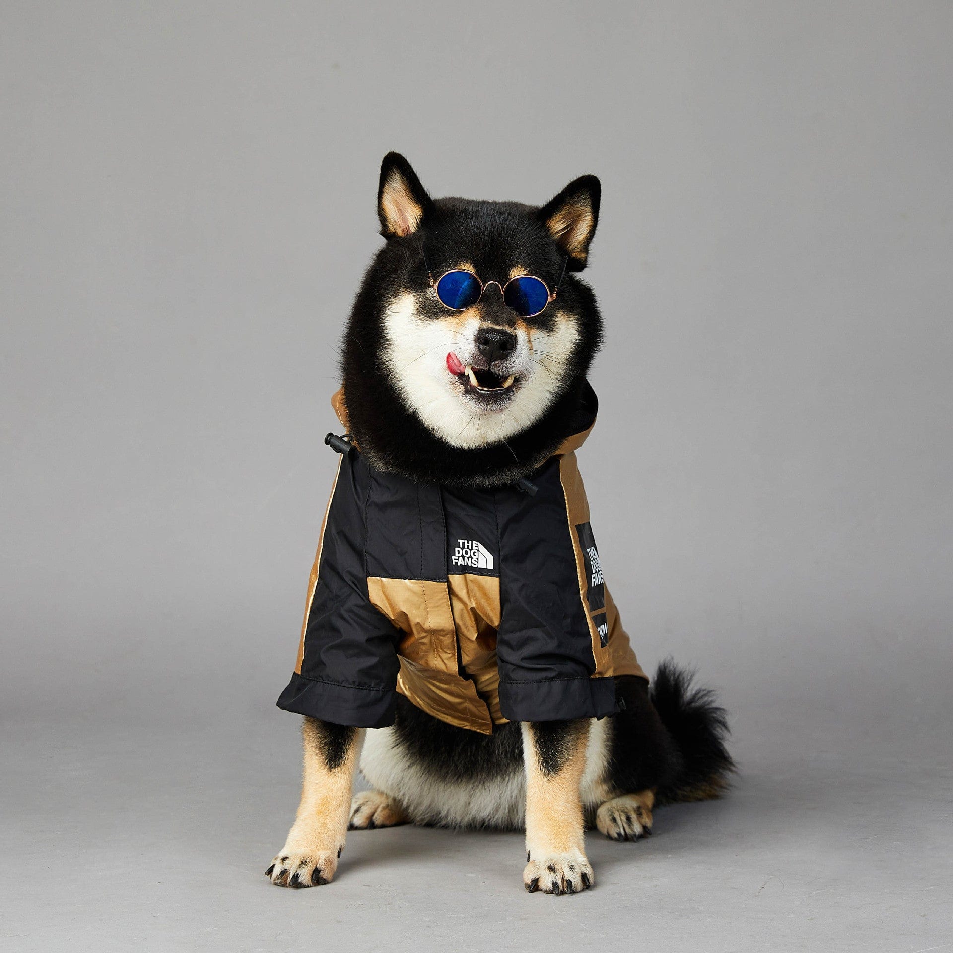 Dogs and Cats Boutique 5 Windproof And Rainproof Dog Large Dog Raincoat Shell Jacket (To Get Done)