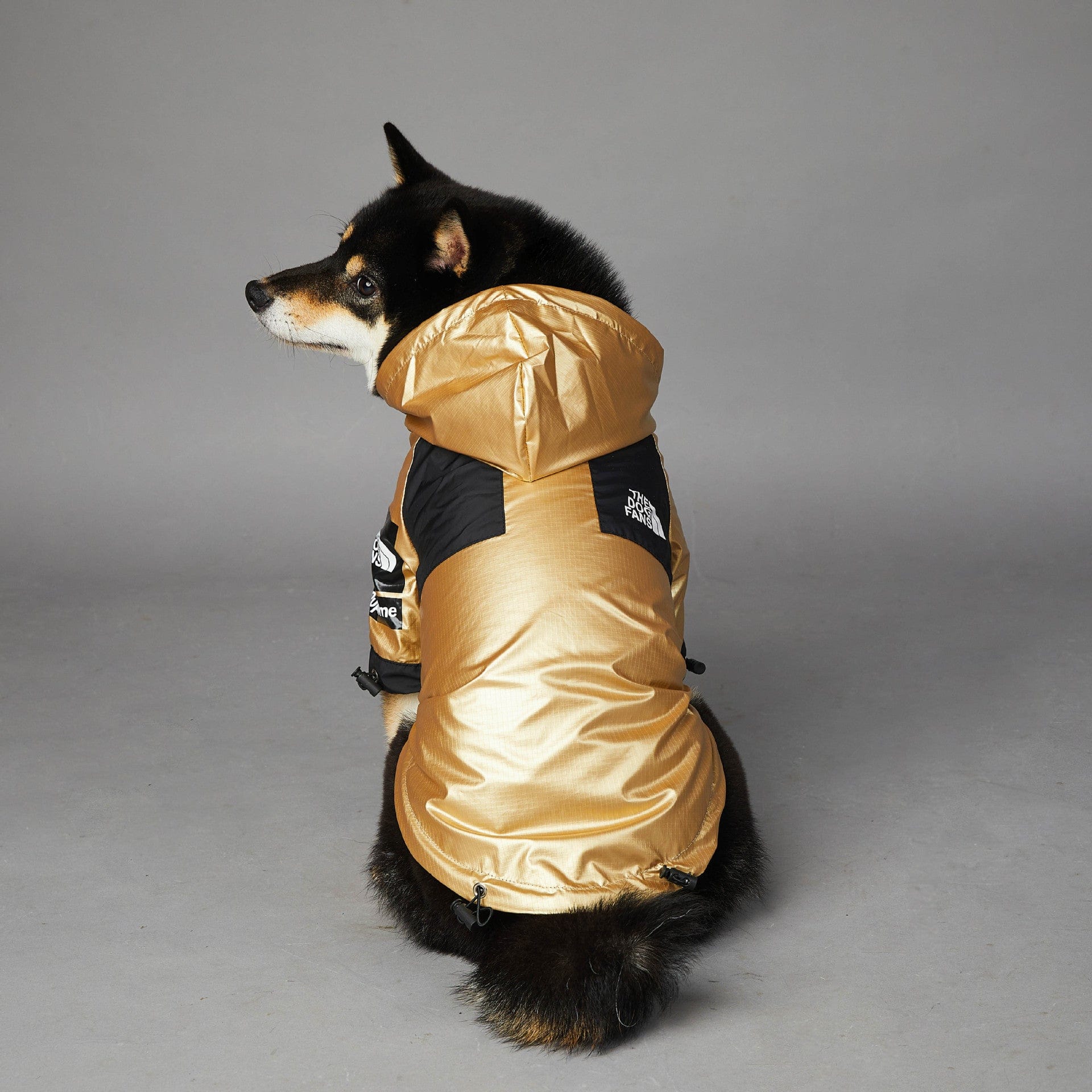 Dogs and Cats Boutique 5 Windproof And Rainproof Dog Large Dog Raincoat Shell Jacket (To Get Done)