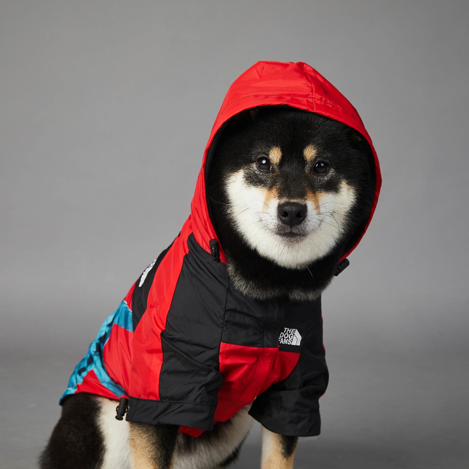 Dogs and Cats Boutique 5 Windproof And Rainproof Dog Pet Shell Jacket (To Get Done)