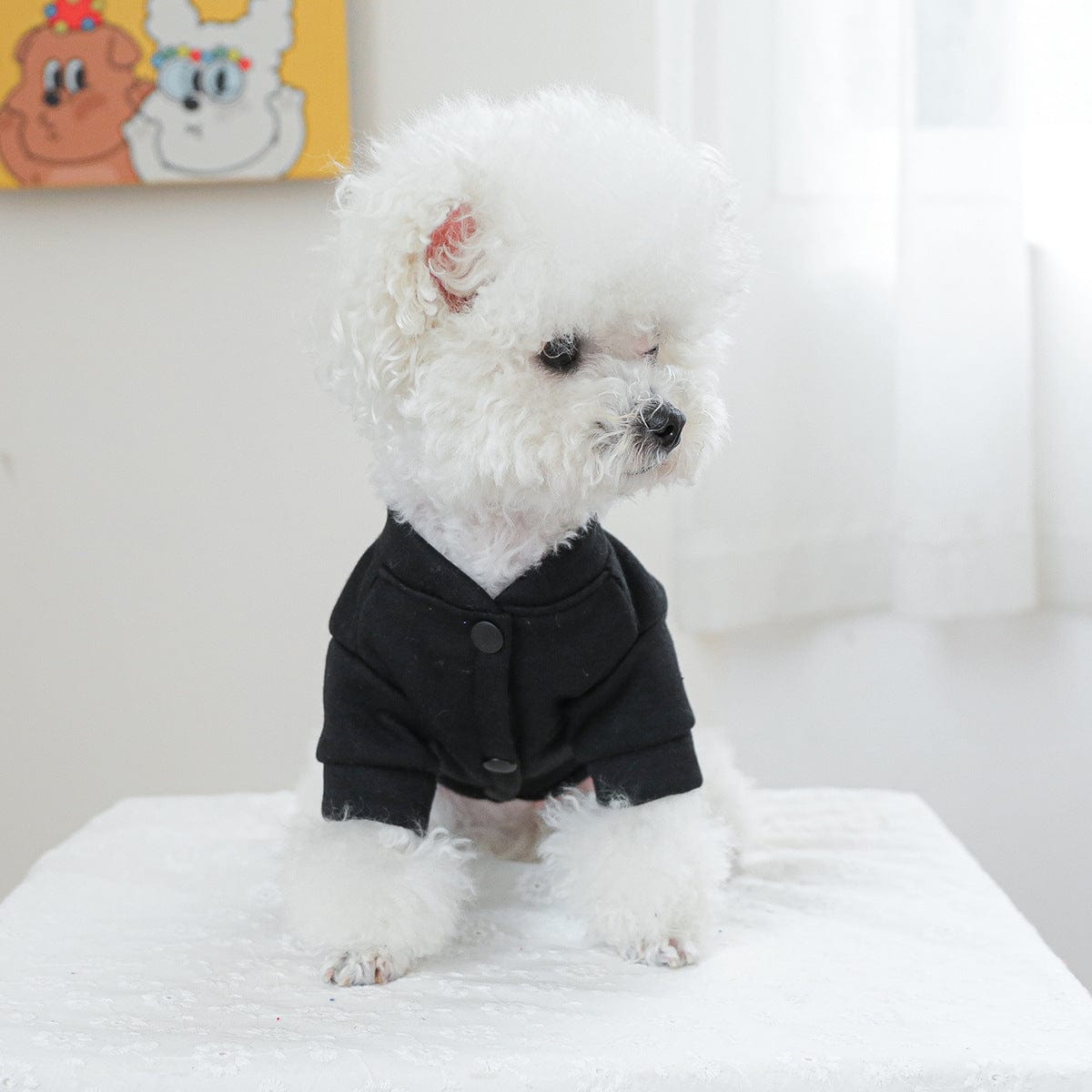 Dogs and Cats Boutique 6 Casual Universal Autumn And Winter New Pet Clothes (To Get Done)