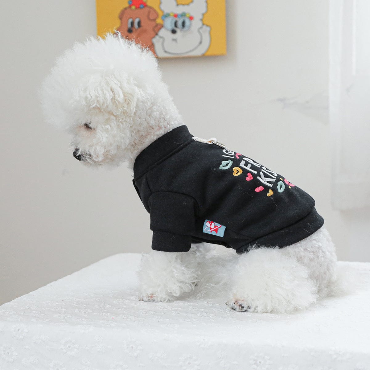 Dogs and Cats Boutique 6 Casual Universal Autumn And Winter New Pet Clothes (To Get Done)