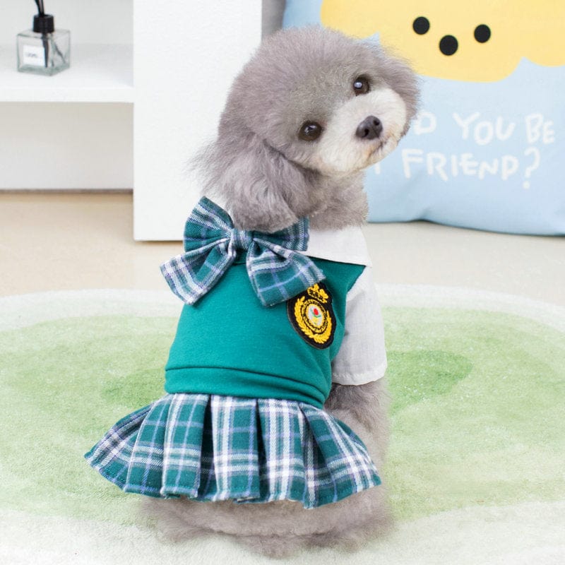 Dogs and Cats Boutique 6 Chic Academy Pet Attire