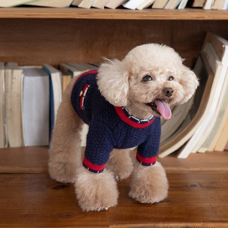 Dogs and Cats Boutique 6 Classic Style Style Bejirog Sweater Cardigan Pet Clothes (To Get Done)