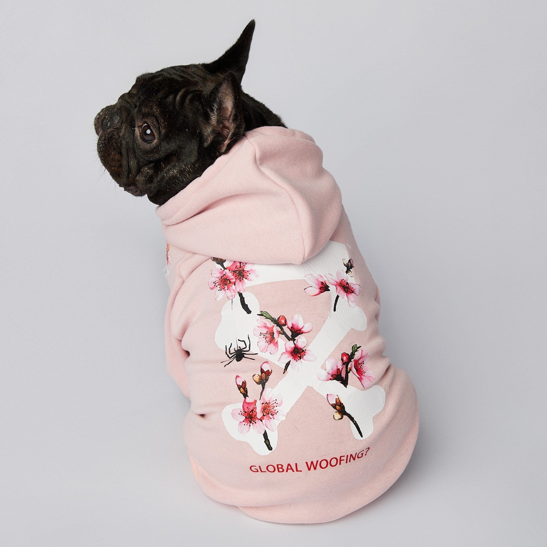 Dogs and Cats Boutique 6 Clothes Spoof Autumn And Winter Sports Dog Clothes (To Get Done)