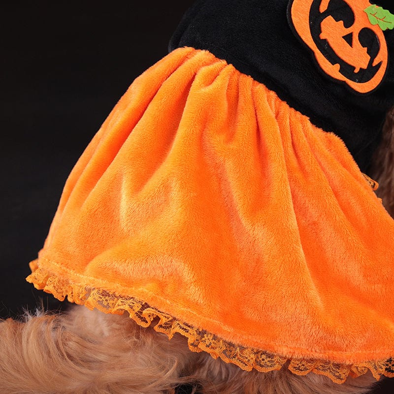 Dogs and Cats Boutique 6 Cross-border New Arrival Pet Costume Halloween Classic Pumpkin Skirt Bichon Teddy Dog Cat Christmas Clothes (To Get Done)