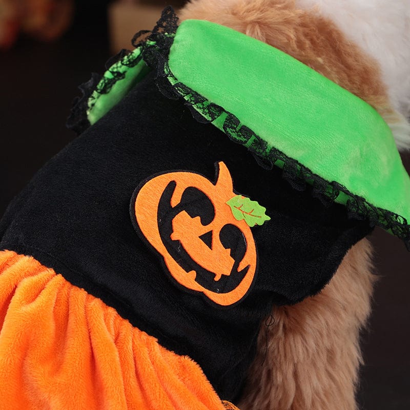 Dogs and Cats Boutique 6 Cross-border New Arrival Pet Costume Halloween Classic Pumpkin Skirt Bichon Teddy Dog Cat Christmas Clothes (To Get Done)