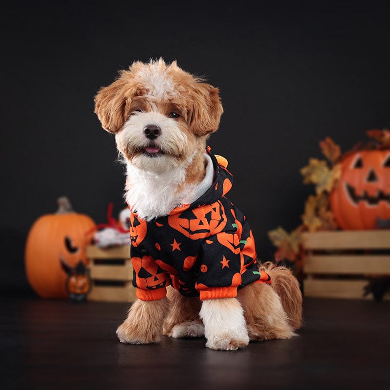 Dogs and Cats Boutique 6 Cross-border New Arrival Pet Costume Halloween Classic Pumpkin Skirt Bichon Teddy Dog Cat Christmas Clothes (To Get Done)