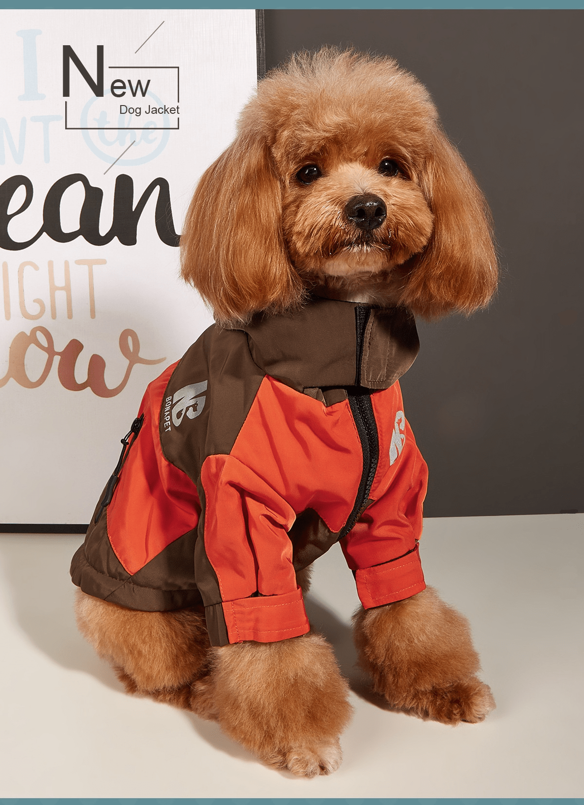 Dogs and Cats Boutique 6 Dark Brown / XS Dog Clothes Jacket Autumn And Winter Waterproof Warm Raincoat (To Get Done)