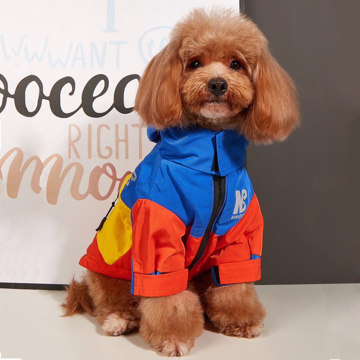 Dogs and Cats Boutique 6 Dog Clothes Jacket Autumn And Winter Waterproof Warm Raincoat (To Get Done)