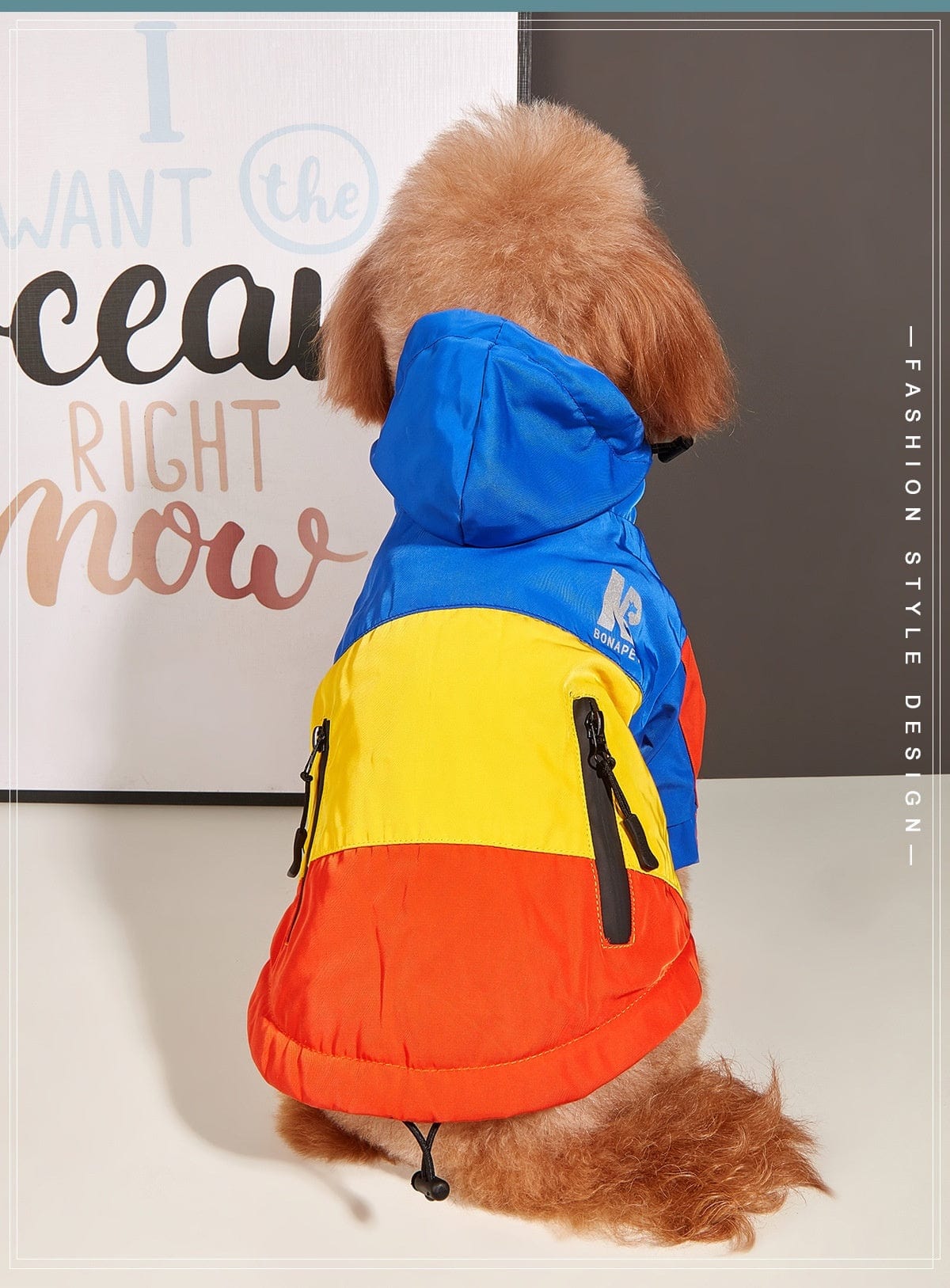 Dogs and Cats Boutique 6 Dog Clothes Jacket Autumn And Winter Waterproof Warm Raincoat (To Get Done)