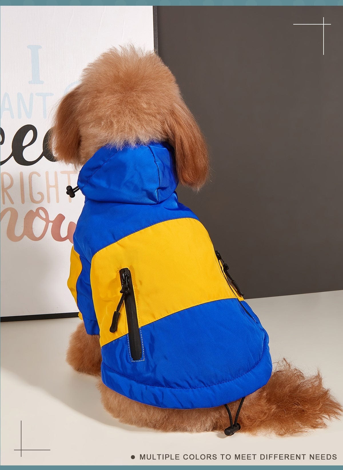 Dogs and Cats Boutique 6 Dog Clothes Jacket Autumn And Winter Waterproof Warm Raincoat (To Get Done)