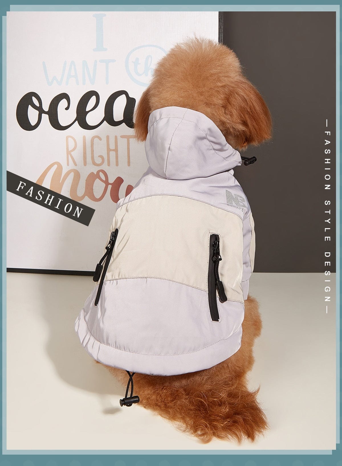 Dogs and Cats Boutique 6 Dog Clothes Jacket Autumn And Winter Waterproof Warm Raincoat (To Get Done)