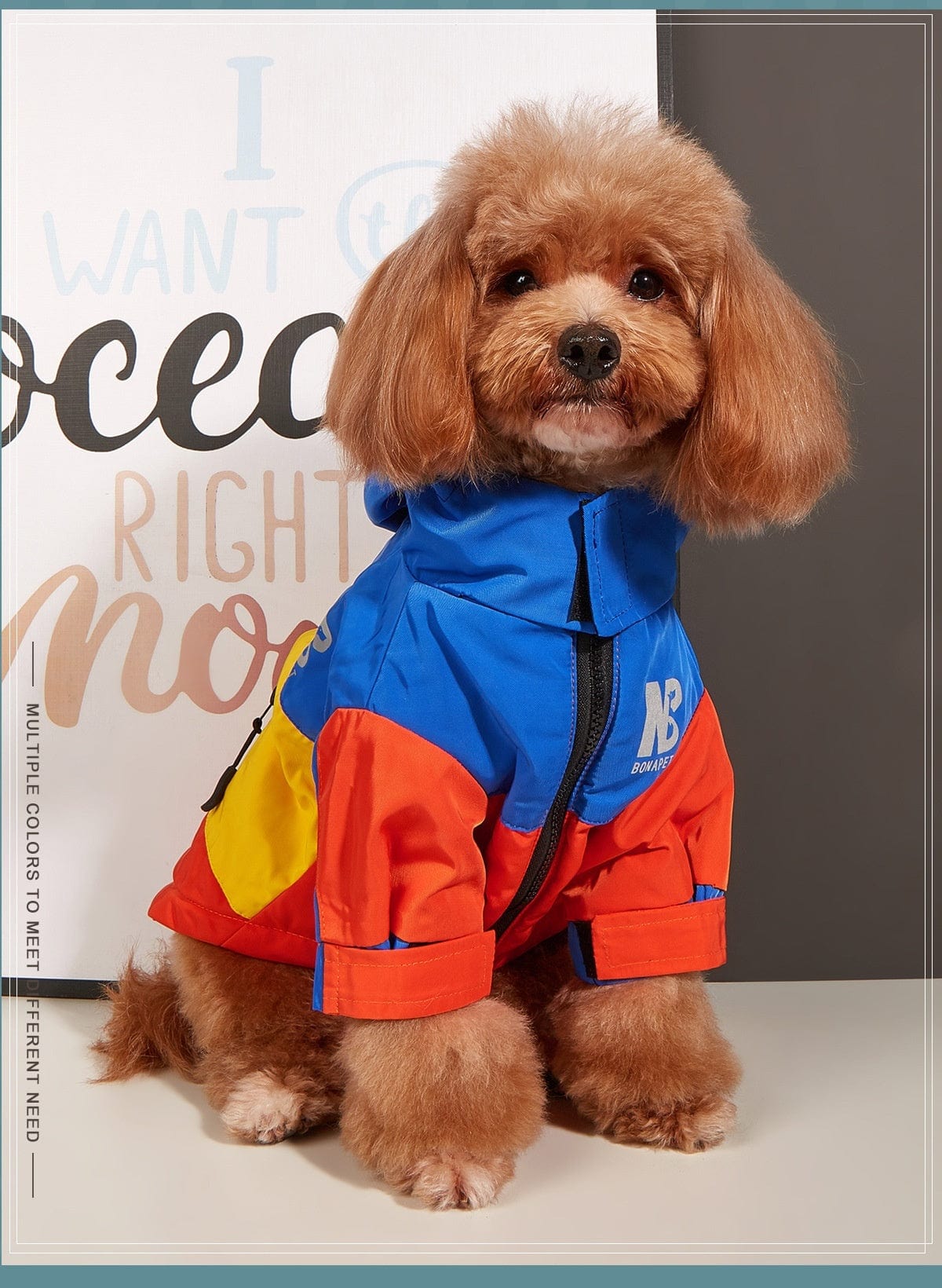 Dogs and Cats Boutique 6 Dog Clothes Jacket Autumn And Winter Waterproof Warm Raincoat (To Get Done)