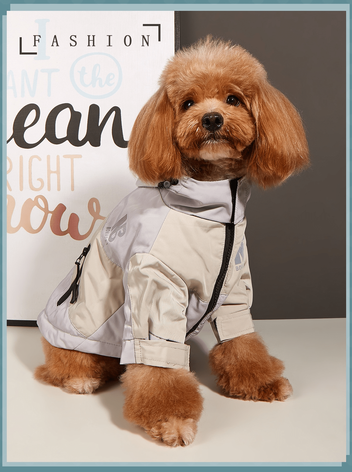 Dogs and Cats Boutique 6 Gray / XS Dog Clothes Jacket Autumn And Winter Waterproof Warm Raincoat (To Get Done)