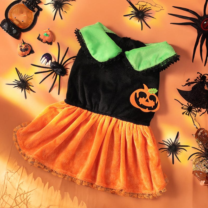 Dogs and Cats Boutique 6 Halloween Pumpkin Skirt / 2XL49x44x58 Cross-border New Arrival Pet Costume Halloween Classic Pumpkin Skirt Bichon Teddy Dog Cat Christmas Clothes (To Get Done)