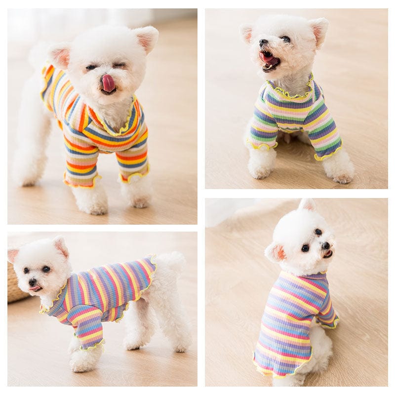 Dogs and Cats Boutique 6 Knitted rainbow dog clothes (To Get Done)