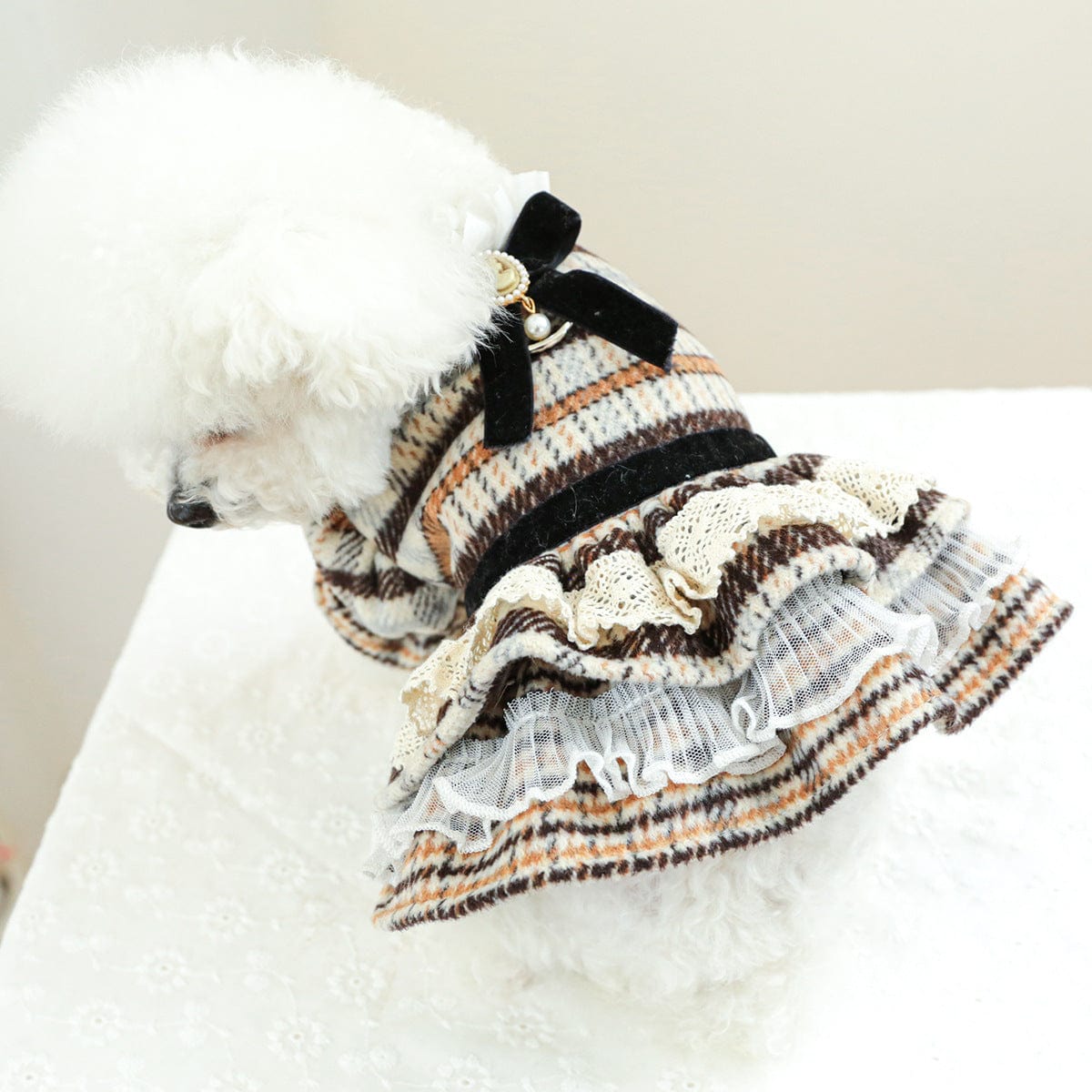 Dogs and Cats Boutique 6 Pet Clothes Dog Cat Clothing Clothing Autumn And Winter Maillard Woolen Skirt (To Get Done)