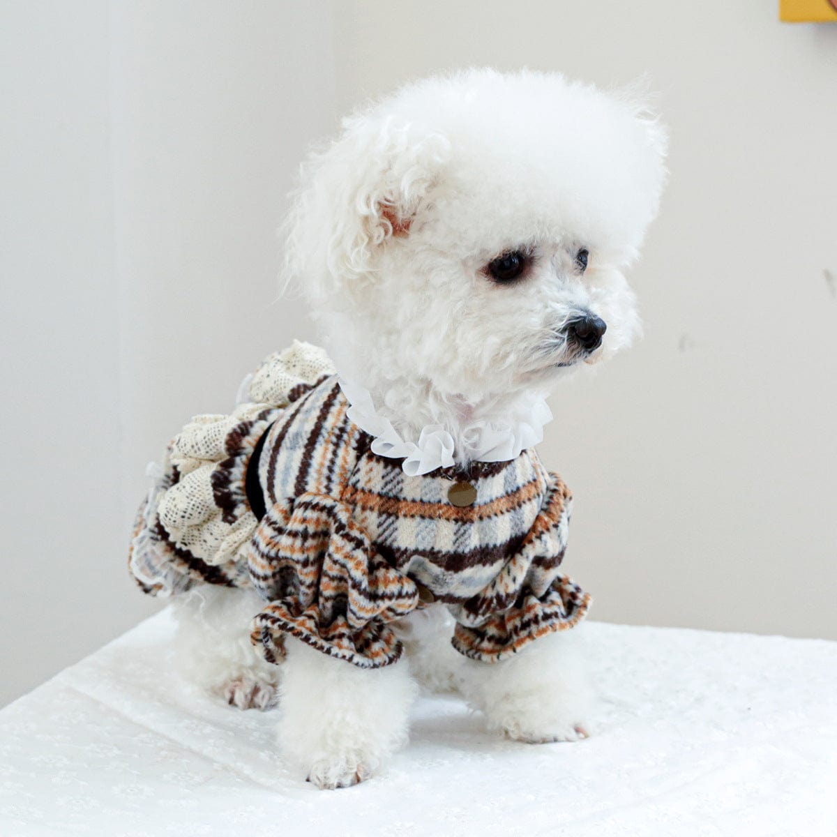 Dogs and Cats Boutique 6 Pet Clothes Dog Cat Clothing Clothing Autumn And Winter Maillard Woolen Skirt (To Get Done)